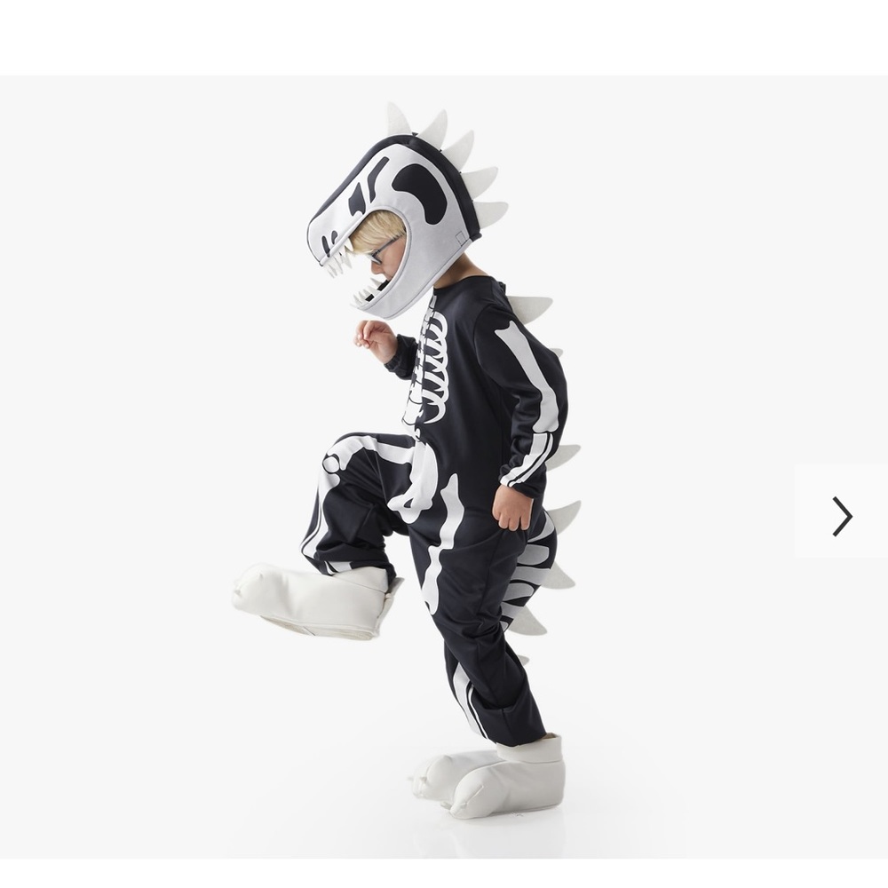 Pottery Barn Kids Glow-in-the-Dark Dino Skeleton Costume